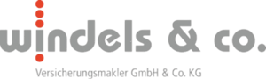 Logo - Windels x Eye Security