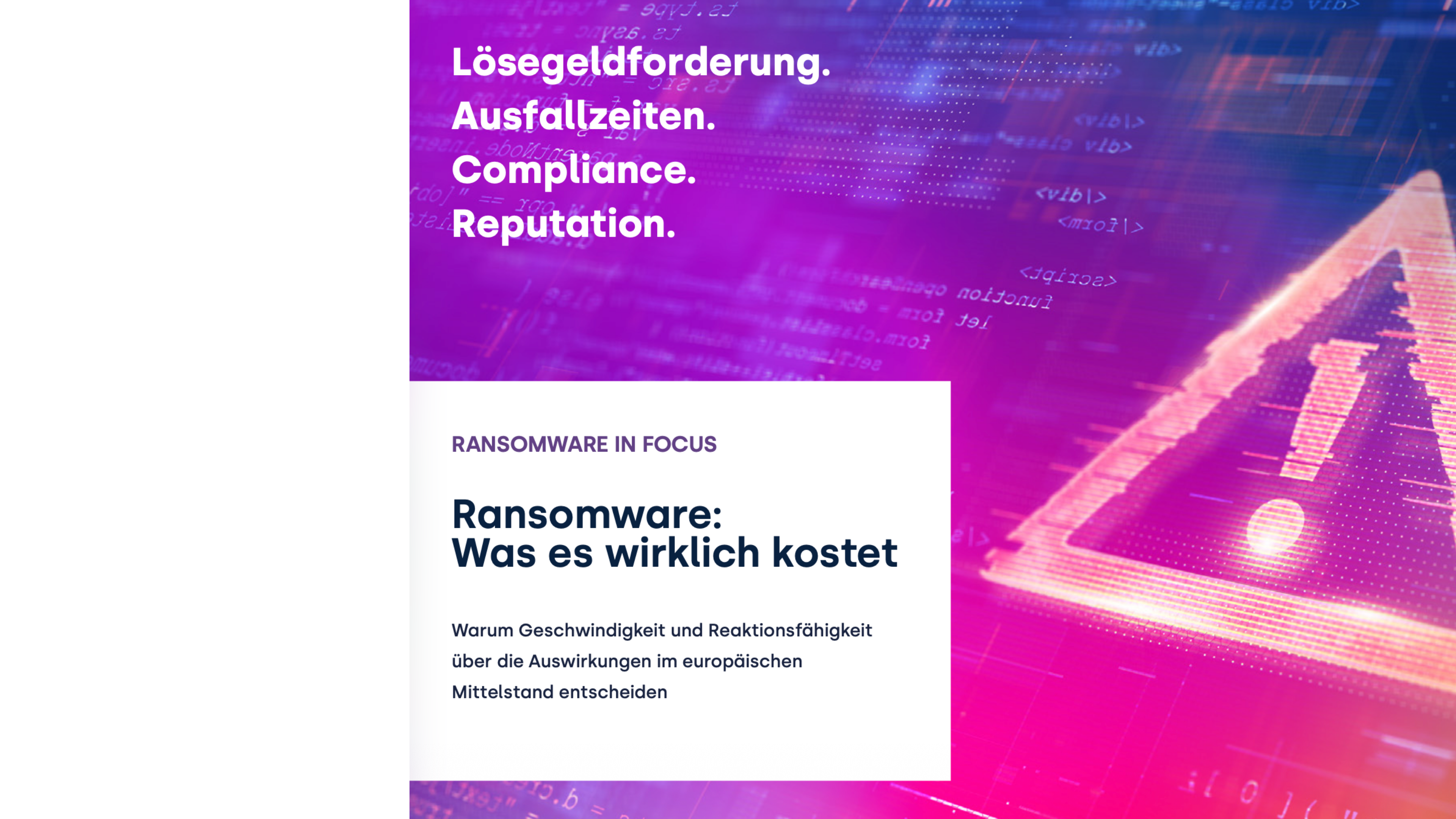 Ransomware: Was es wirklich kostet
