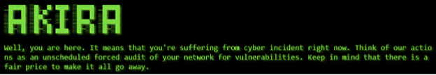 Computer screen displaying a ransomware message.