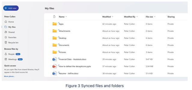 A screenshot of a computer

Description automatically generated